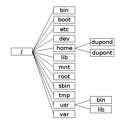 linux hierarchy