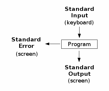 Input Output